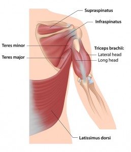 rotator cuff tendonitis treatment