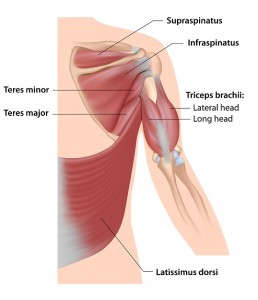 rotator cuff pain relief